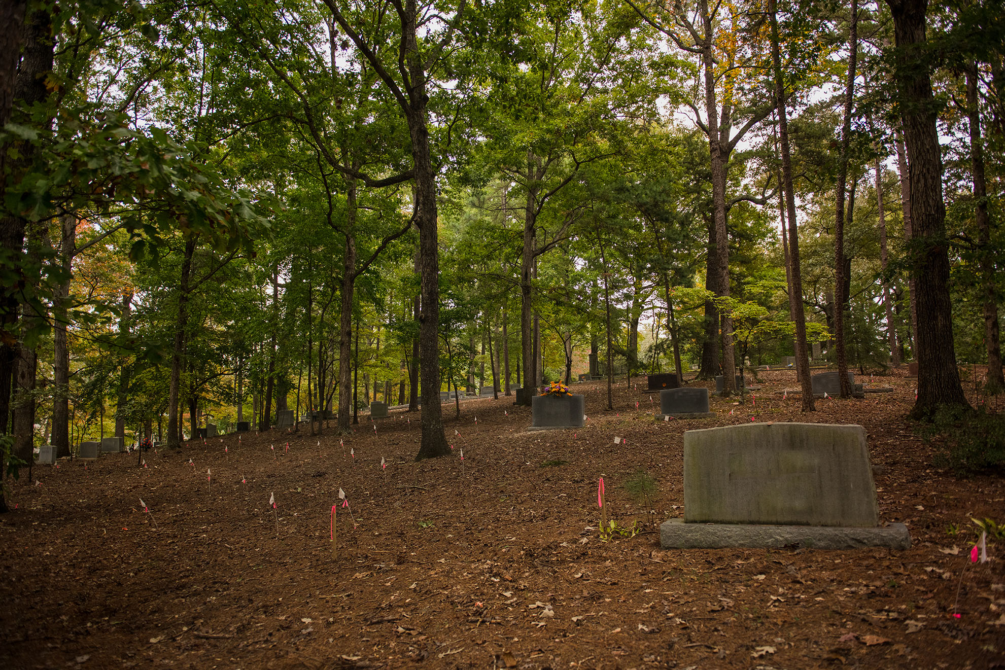 Image of marked and unmarked graves in Woodland Cemetery