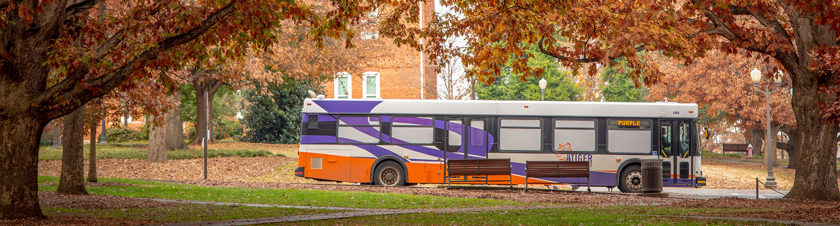 A Clemson CAT bus pulls up to a stop among trees flush with fall colors