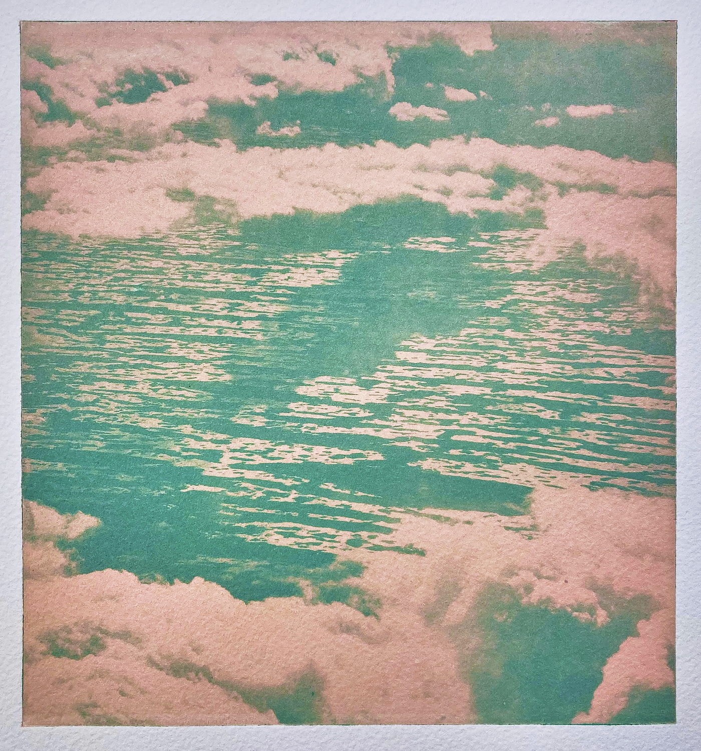 Allison Johnson | MFA 2019 | Aerial Glades, Pink | Photopolymer gravure print on Somerset Velvet paper