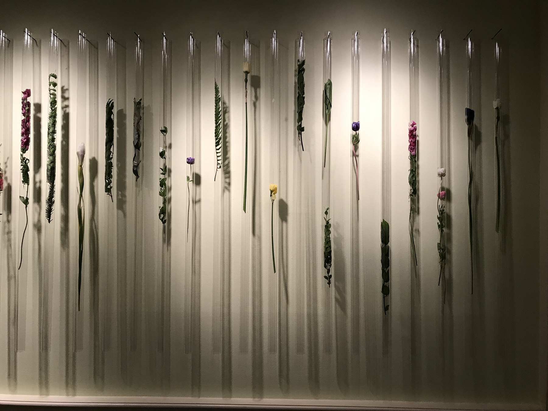Richard Lou | MFA 1986| Wild Stasis | Plastic tubes, strips of digital photographs, preserved plants, nails