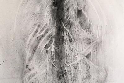 Andrea Garland | MFA 2019 | Vivisection | Charcoal on embossed paper