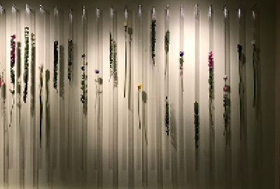 Richard Lou | MFA 1986| Wild Stasis | Plastic tubes, strips of digital photographs, preserved plants, nails