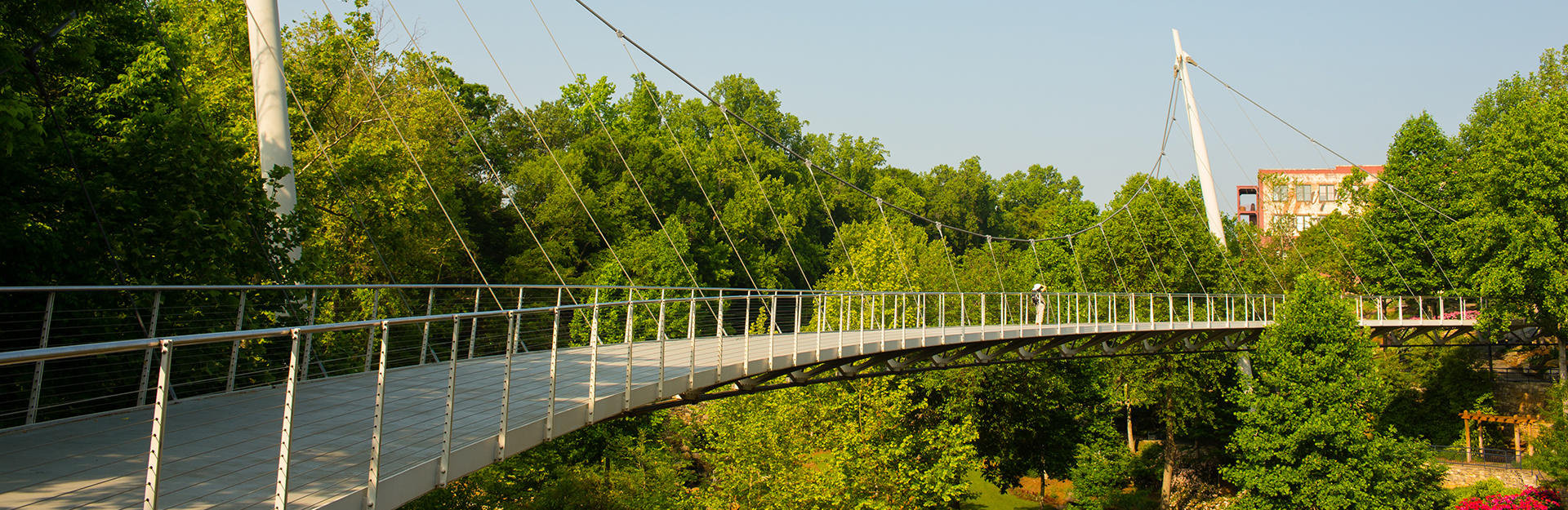 MRED About Banner. Liberty Bridge in Greenville, SC.