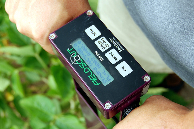 Researcher, standing in a field, reads measurement off a digital tool attached to his wrist