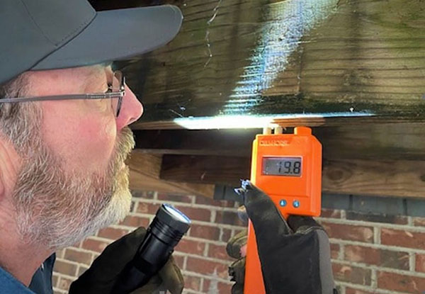 pest technician inspecting moisture level in a floor joist