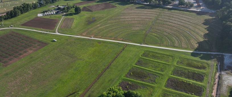 aerial of row crops at clemson university