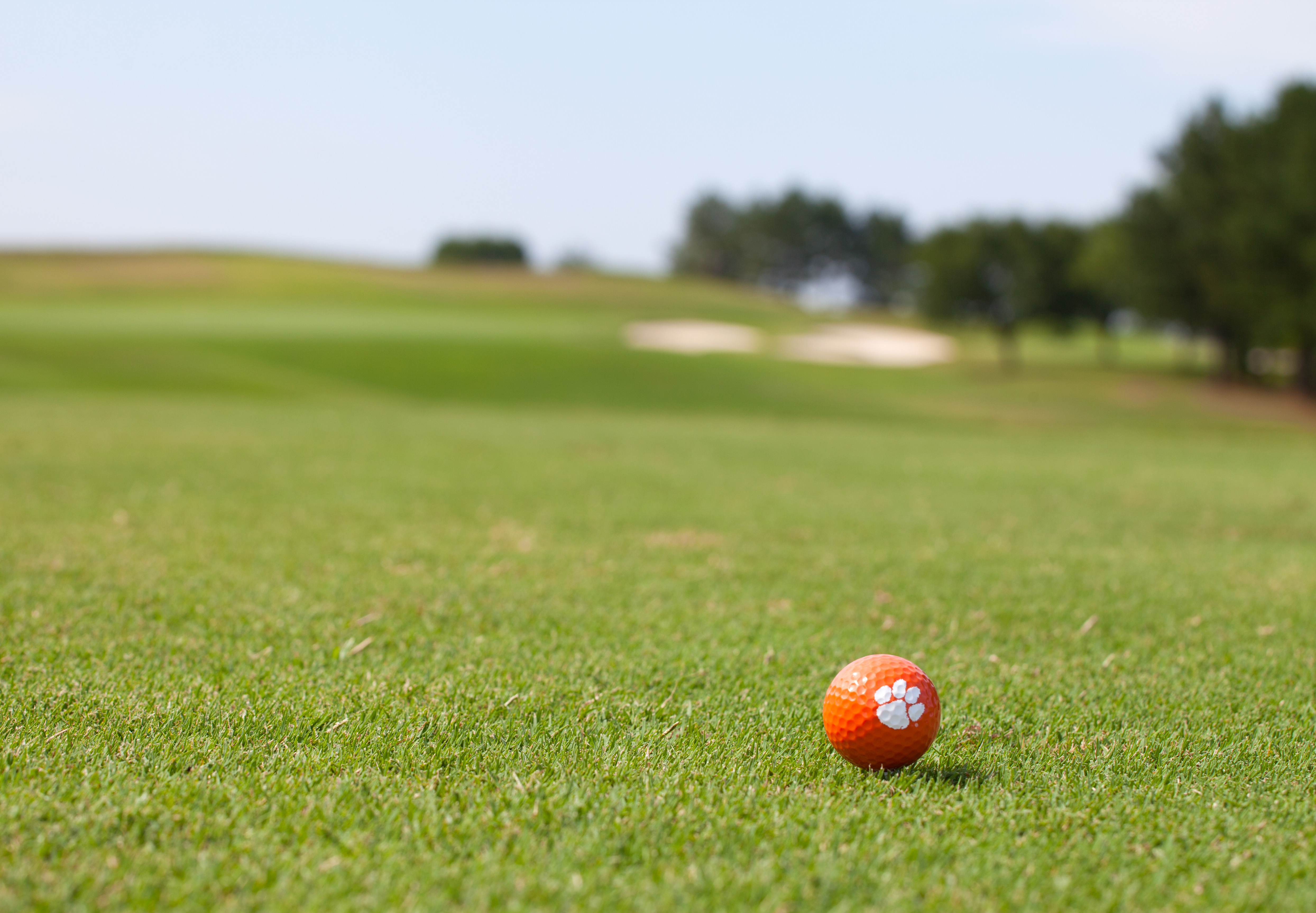 Picture of a Clemson golf ball on the Walker Golf Course on campus.