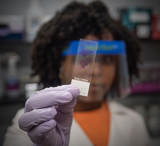 Female student in lab holding up slide
