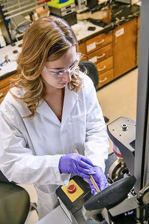 Students in lab using equipment
