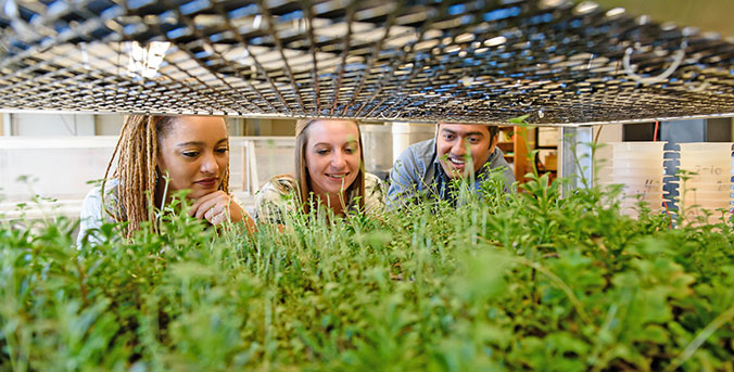 Faculty member and 2 female students looking at plants growing in lab.
