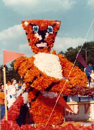 Tiger in the Parade