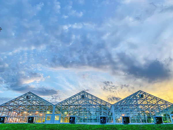 Clemson University Bio-complex Greenhouses 