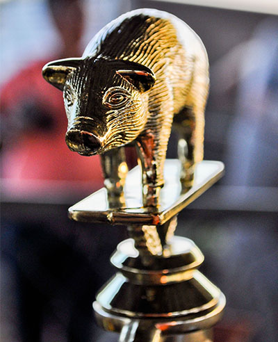 swine trophy