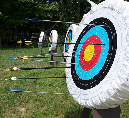 archery target with arrows