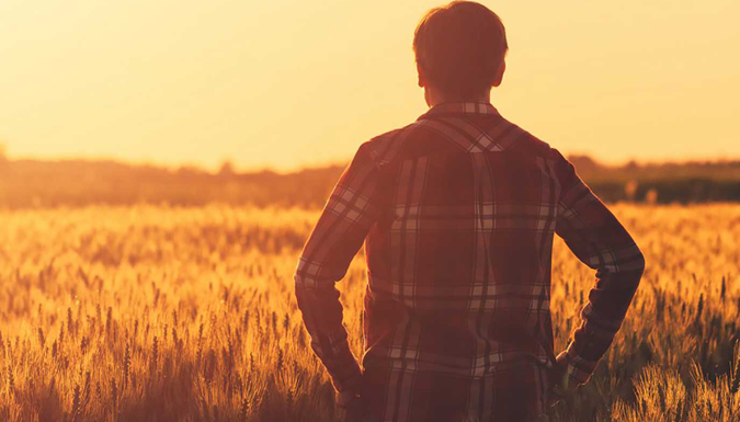 farmer overlooking crops at sunset