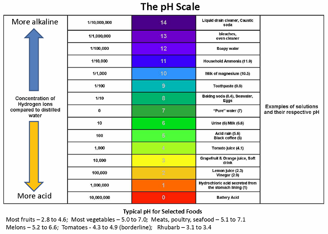 pH Scale