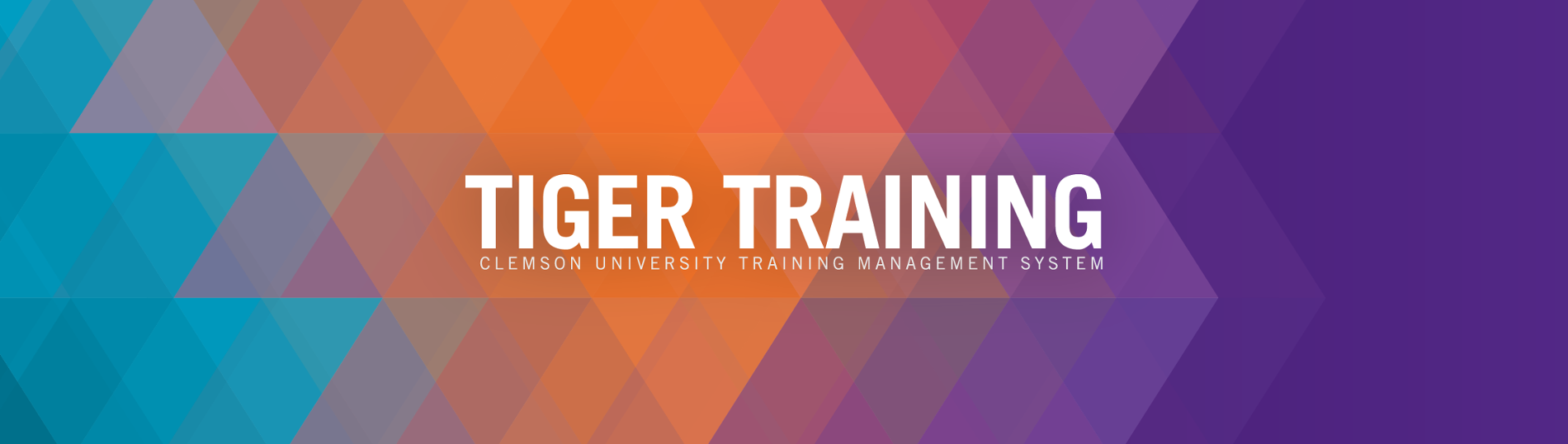 Tiger Training Banner