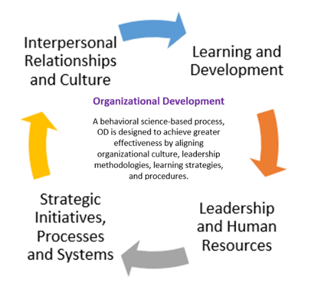A circular cycle showing Interpersonal Relations and Culture, Learning and Development, Leader and Human Resources, and Strategic Initiative, Processes and Systems.