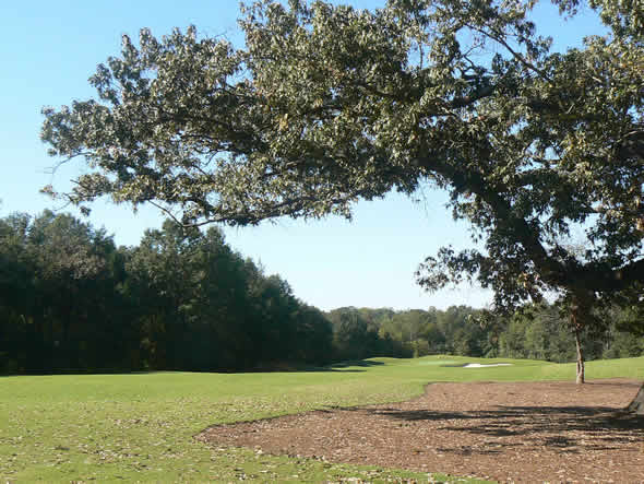 5.  Walker Golf Course, Hole 5 at Clemson University, South Carolina