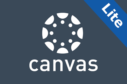 Lite Canvas Accessibility Guide (link opens in new tab)