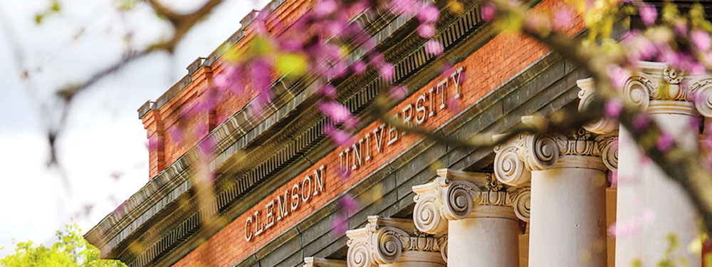 Decorative image of Clemson Sikes Hall