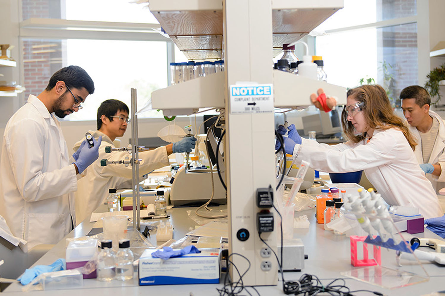 Four students in a lab.