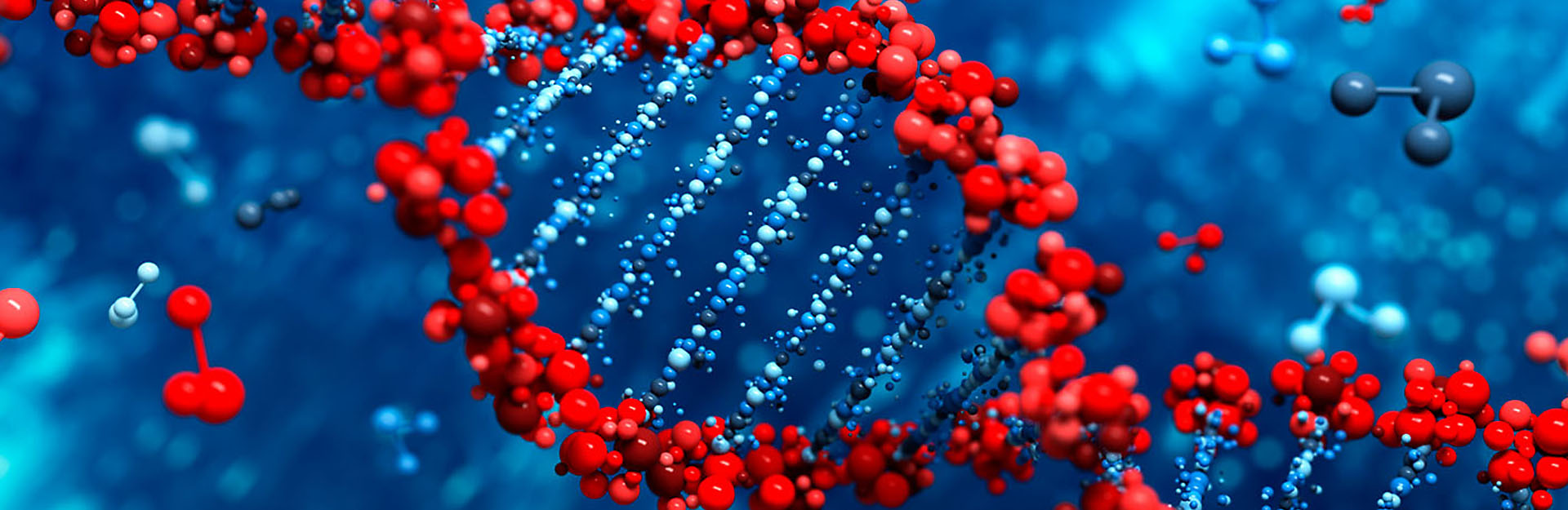 Decorative, generated image of DNA, with red and blue molecules.