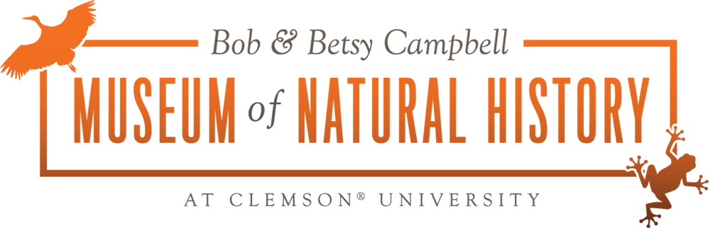 Logo for Bob & Betsy Campbell Museum of Natural History.
