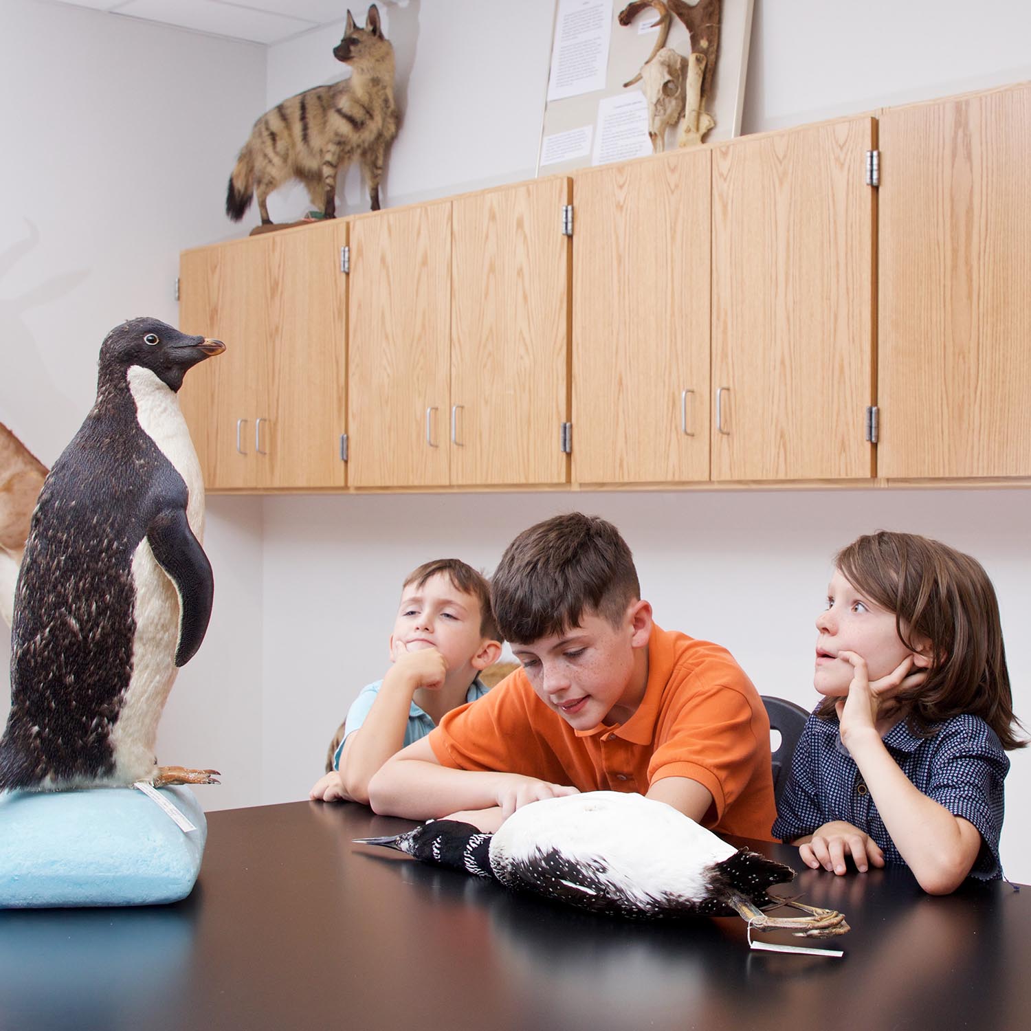Three children looking at a specimen of a penguin, in a lab.