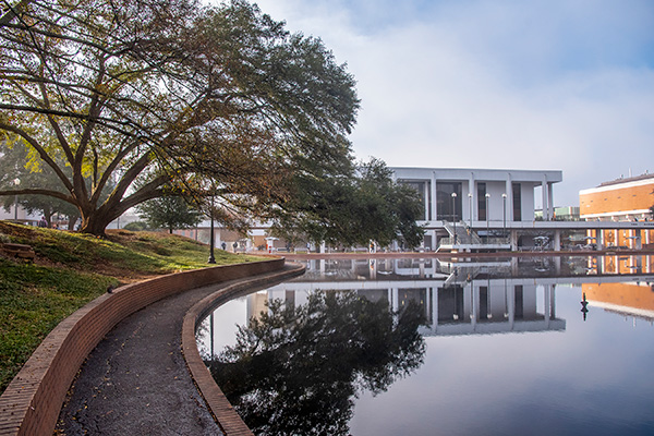Library and reflection pond