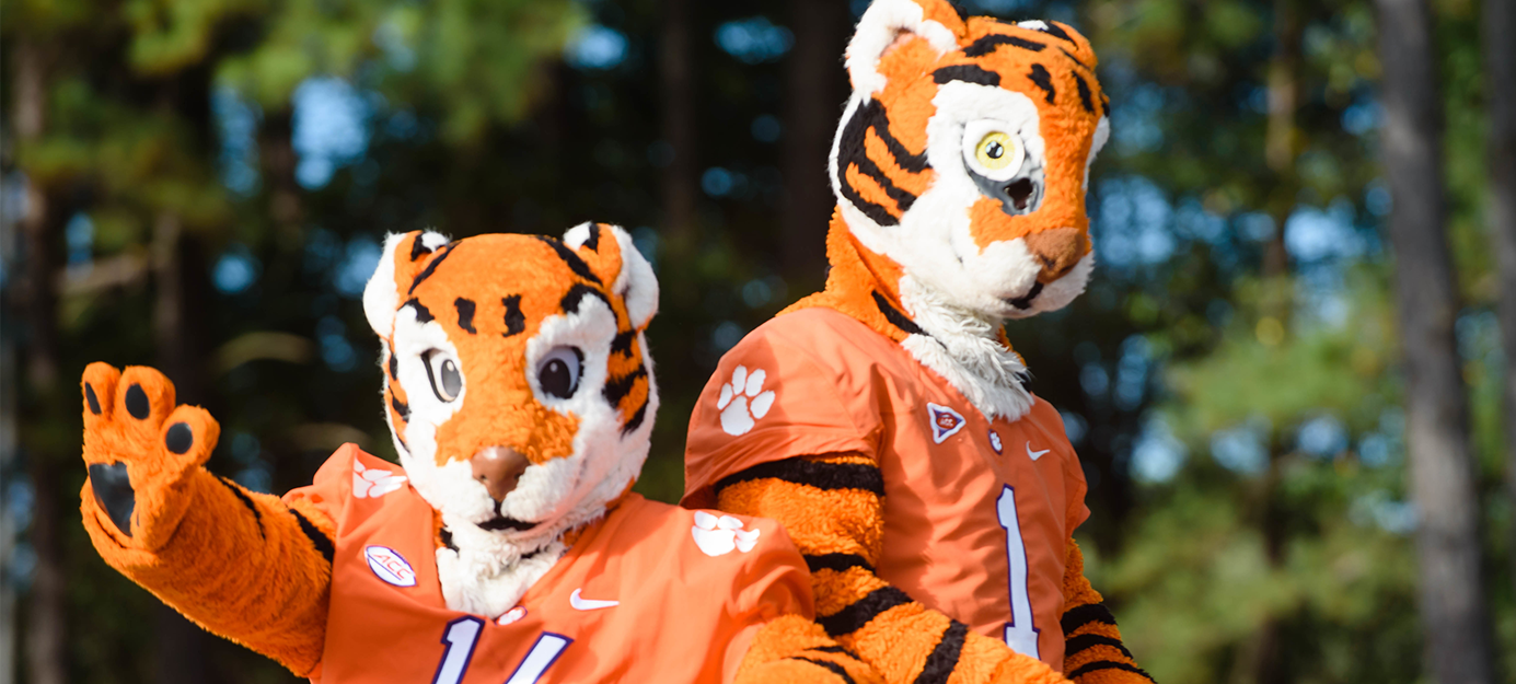 Creating innovative partnerships for mutually beneficial programs to enhance the Clemson experience.