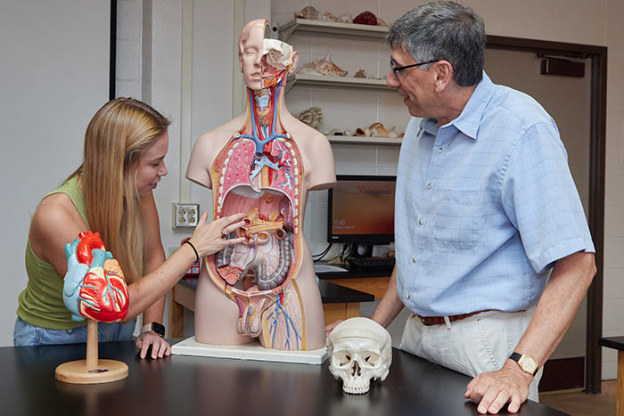 A female student points at a teaching mannequin sitting on a classroom table that reveals the anatomy of the human body while a male professor looks on. A model of the human heart and a model of a human skull also sit at the table