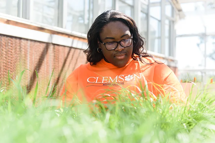 A female student in an orange shirt that reads “Clemson Agriculture” stares down at planted grass outside a Clemson facility.