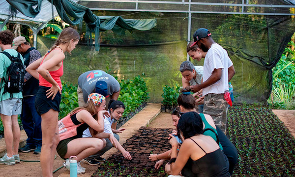 A team of Clemson students collaborating in a greenhouse, examining various plants in a vibrant, sunlit environment.
