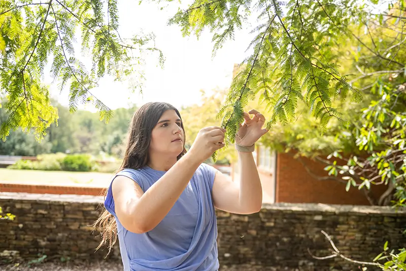 A female student wearing a short-sleeve lilac shirt touches the leaves of a tree on campus.
