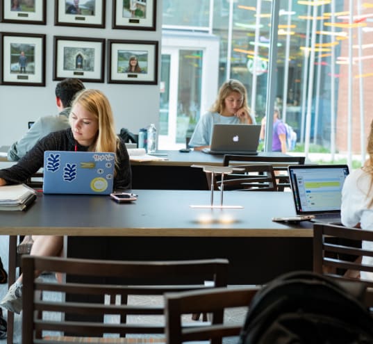 Three students work on their laptops in a window-lined room, with Illuminated Chroma Wind Trees art installation behind.