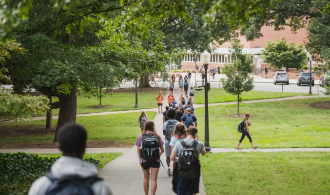 Clemson students walk a tree-lined path across campus.