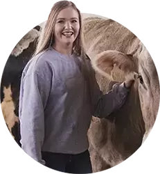 A female student wearing a purple sweatshirt poses with a brown cow on a campus farm.