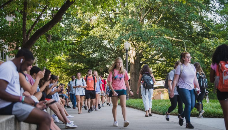 Clemson students sit in the shade and walk under a tree-lined path on campus between classes.