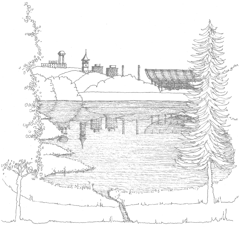 James Barker Illustration of Lake Hartwell