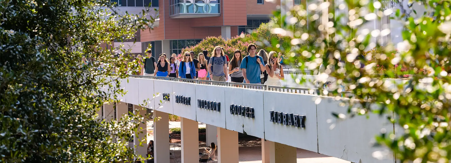 A group of students walk across the Library Bridge with two green leafy trees on each side.