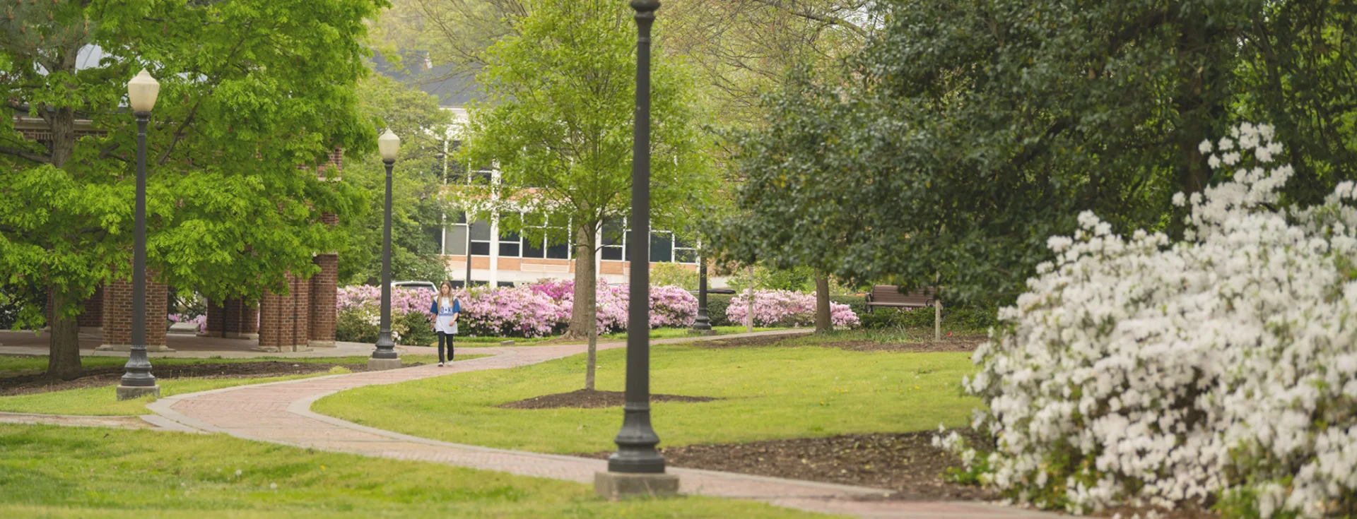  female student walks along a curved brick pathway surrounded by grass, green leafy trees and white and pink flowers.