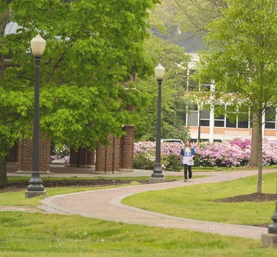 The skyline of Clemson's campus with memorial stadium, littlejohn colleseum, and Tillman Hall's clock tower in the foreground