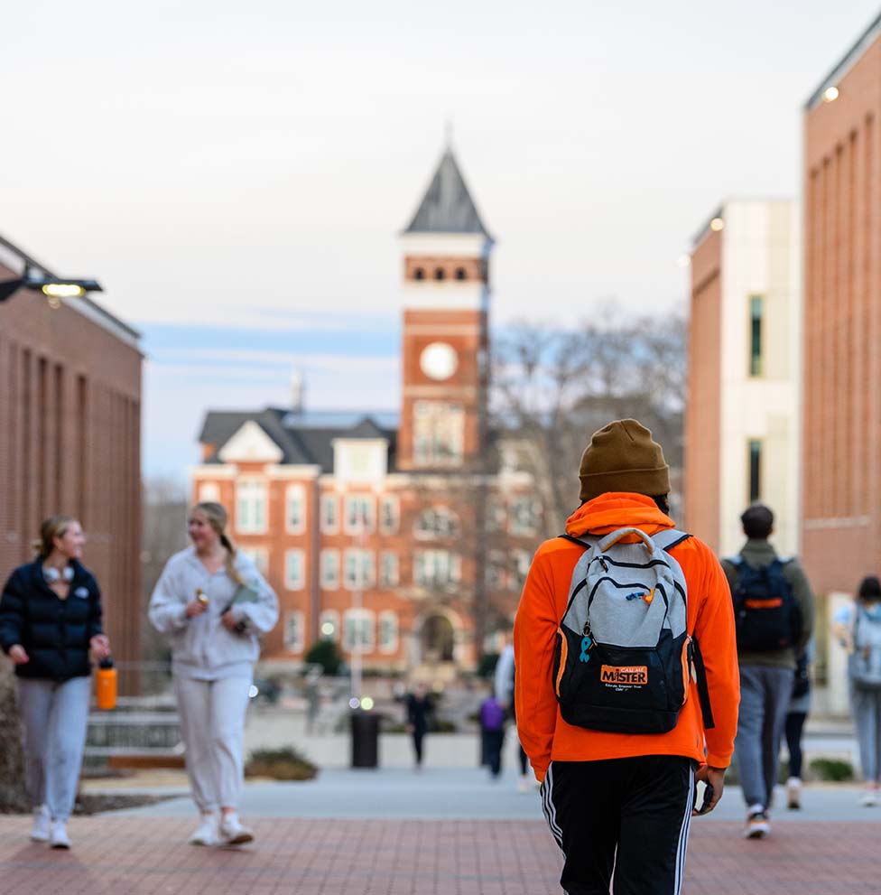 A student faces away from the camera and looks out on to Clemson's campus from atop a set of stairs. Others students can be seen walking along either side of the student facing away from the camera.