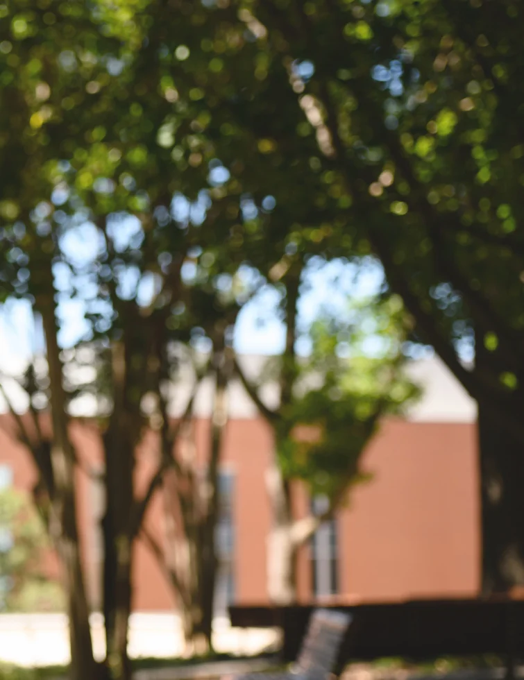 Trees shade an empty bench in front of a sun-drenched brick building