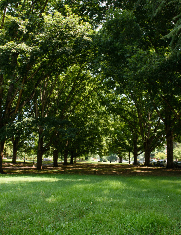 Emily Martin smiles, standing with hands on hips and looking to her left in front of lush green trees on Clemson's campus.