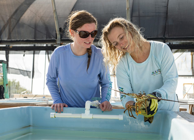 Undergraduate student Erin Griffin and graduate student Natalie Stephens stand at an outdoor wet tank while Natalie holds a lobster, wearing yellow gloves.