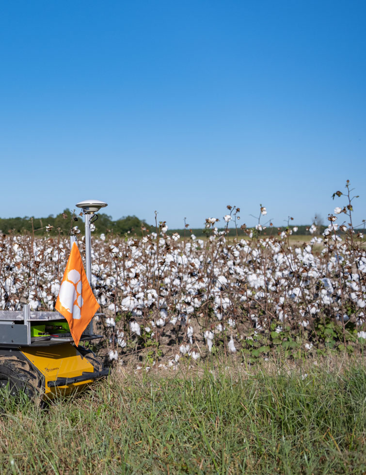 Joe stands next to his rover in a cotton field.