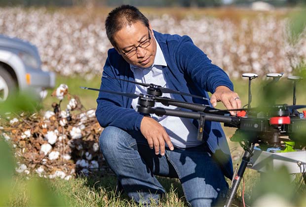 Joe investigates a drone in a cotton field.
