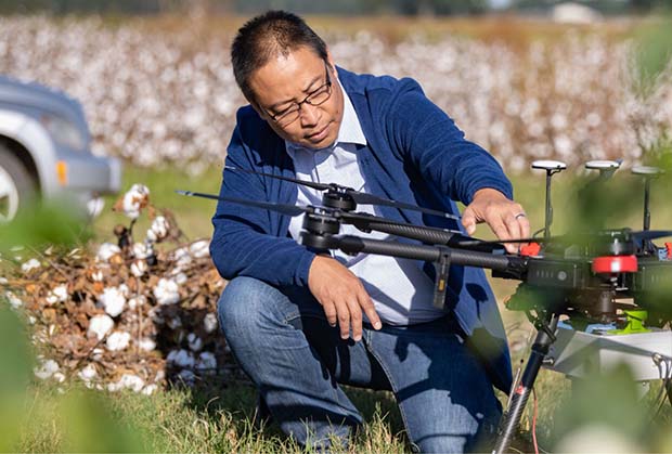 Joe investigates a drone in a cotton field.